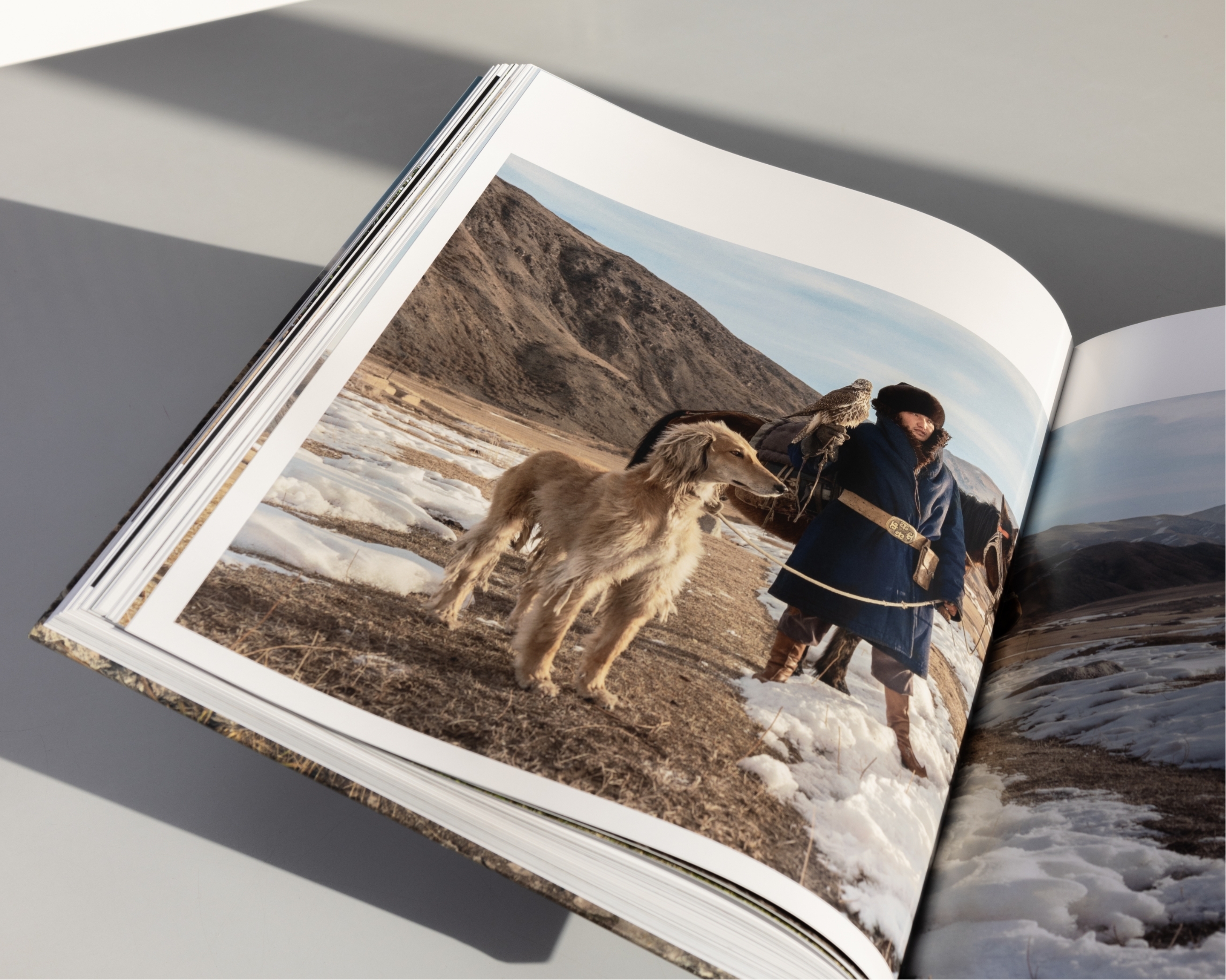 Human Playground Book16